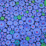 Kaffe Fassett Button Mosaic Blue 100% Cotton Quilting Craft Fabric